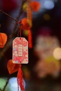 mới nhất link Nohu